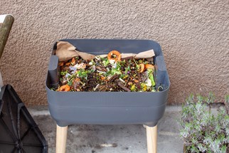 wormery composter