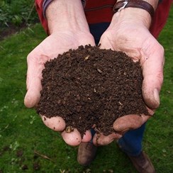 fresh compost